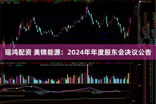 瑶鸿配资 美锦能源：2024年年度股东会决议公告