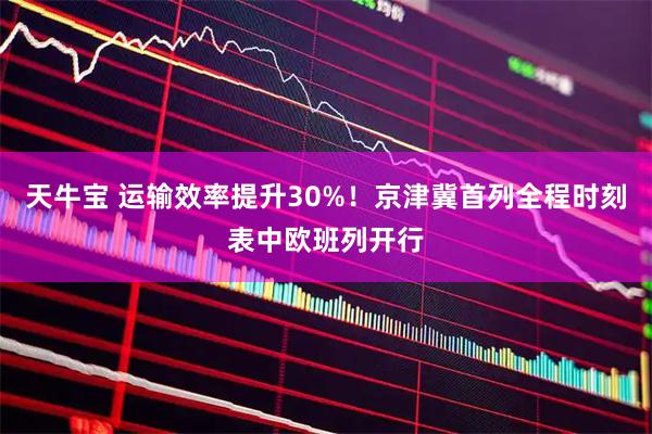 天牛宝 运输效率提升30%！京津冀首列全程时刻表中欧班列开行
