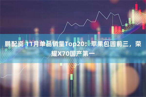 鹏配资 11月单品销量Top20:苹果包圆前三,荣耀X70国产第一
