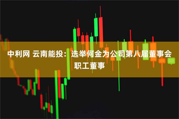 中利网 云南能投：选举何金为公司第八届董事会职工董事